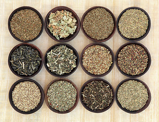 Image showing Green Tea Sampler