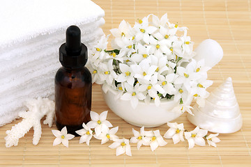 Image showing Natural Beauty Treatment