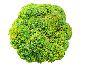 Image showing Broccoli cabbage