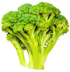 Image showing Broccoli cabbage