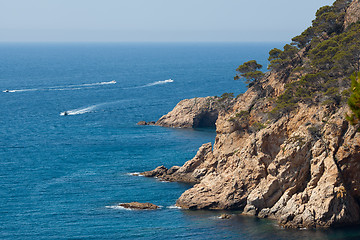 Image showing Rocky beach