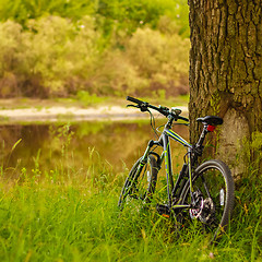 Image showing Black GT bike standing near oak trunk on a spring sunny park. MI