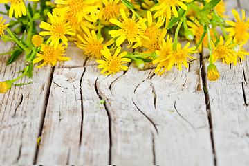 Image showing yellow flowers closeup on rustic wooden background