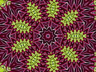 Image showing Chrysanthemum natural pattern