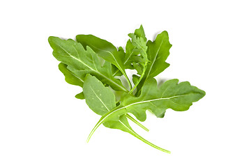 Image showing fresh rucola leaves