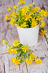 Image showing wild yellow flowers in bucket 