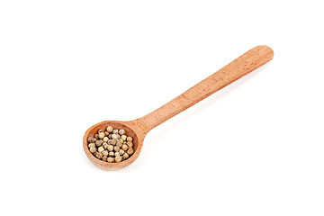 Image showing white pepper in wooden spoon