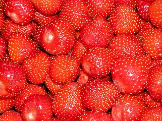 Image showing Washed Strawberries