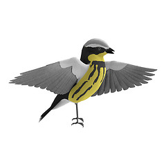 Image showing Warbler