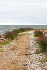 Image showing Road leading to the sea