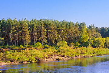 Image showing Calm River