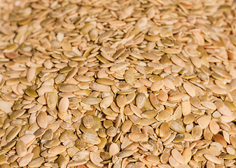 Image showing Close up of the pumpkin seeds background