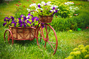 Image showing Decorative Bicycle In Garden 