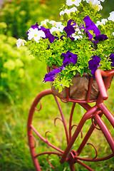 Image showing Decorative Bicycle In Garden 