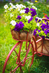 Image showing Decorative Bicycle In Garden 