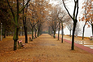 Image showing Autumn