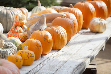 Image showing Fresh Orange Pumpkins and Hay in Rustic Fall Setting
