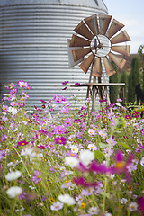 Image showing Antique Farm Windmill and Silo in a Flower Field 
