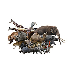 Image showing Animals Concept