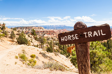 Image showing Horse Trail