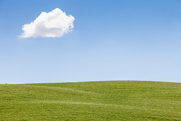 Image showing Green field in Tuscany