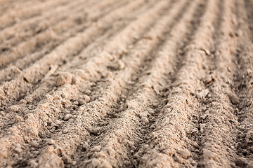 Image showing Furrows in a field after plowing it. 