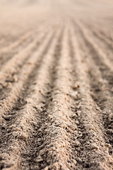 Image showing Furrows in a field after plowing it. 