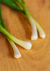 Image showing Green Onion