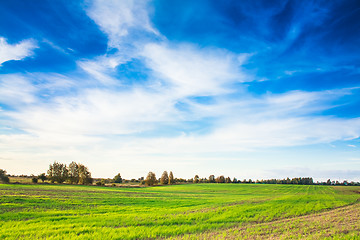 Image showing Green field and blue sky