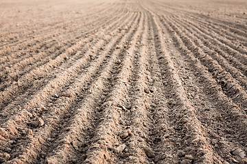 Image showing Furrows in a field after plowing it. 