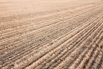 Image showing Furrows in a field after plowing it. 