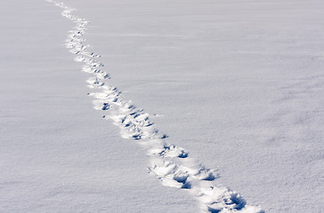 Image showing Footsteps On The Snow
