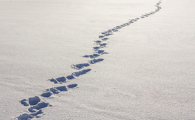 Image showing Footsteps On The Snow