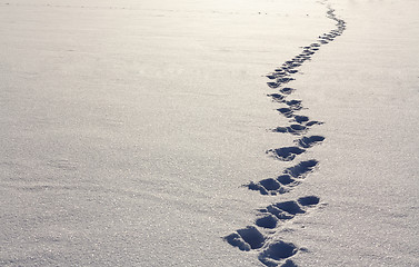 Image showing Footsteps On The Snow