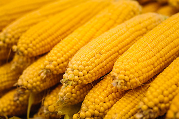 Image showing fresh yellow corn vegetable
