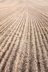 Image showing Furrows in a field after plowing it. 