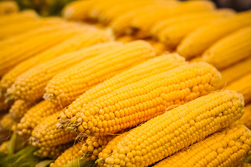 Image showing fresh yellow corn vegetable