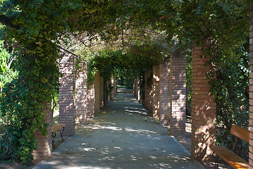 Image showing Shady Alley.