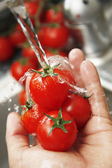 Image showing Washing Tomatoes