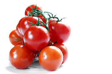 Image showing Vine Tomatoes Over White