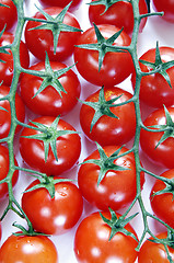 Image showing Vine Tomatoes