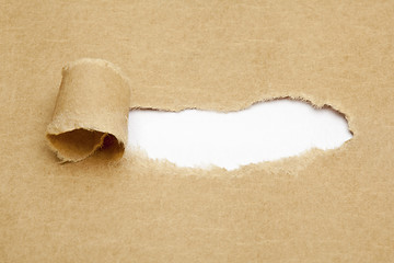 Image showing Blank White Space in Torn Paper