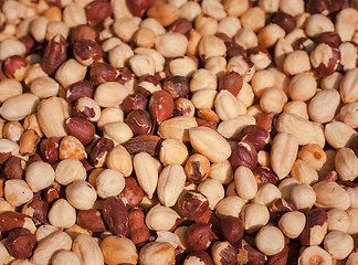 Image showing Hazelnut background