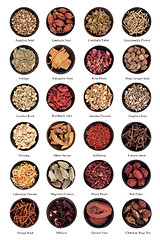 Image showing Traditional Chinese Herbal Medicine