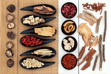 Image showing Chinese Medicinal Herbs