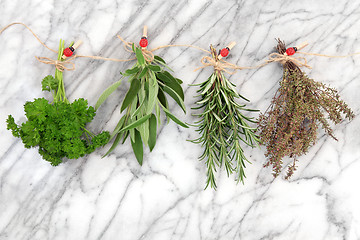 Image showing Herbs Hanging and Drying