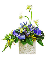 Image showing Bouquet from orchids and Arabian Star flower (Ornithogalum arabi