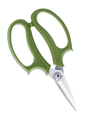 Image showing Garden secateurs isolated on a white background.