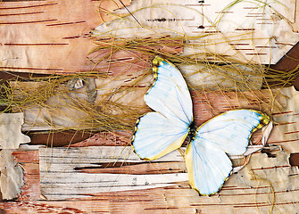 Image showing Abstract composition from butterflies, birch bark and straw.