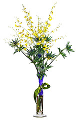 Image showing  Miniature orchids and eryngium flowers in vase isolated on whit